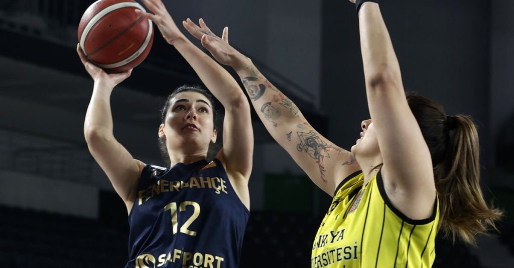 Çankaya Üniversitesi - Fenerbahçe Safiport